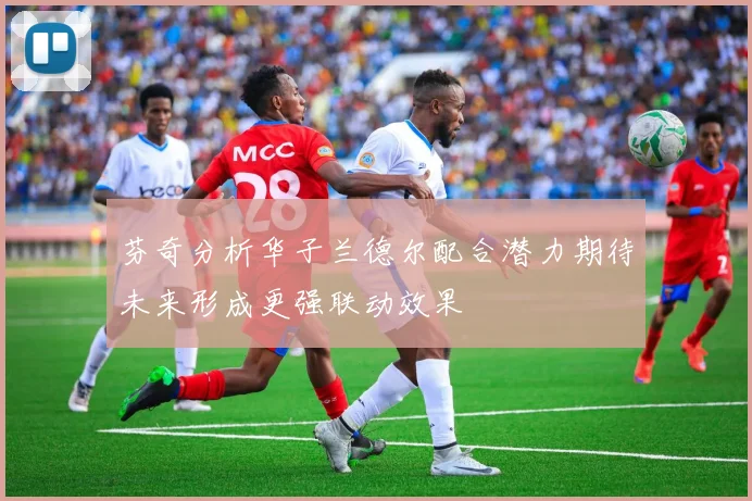 芬奇分析华子兰德尔配合潜力期待未来形成更强联动效果