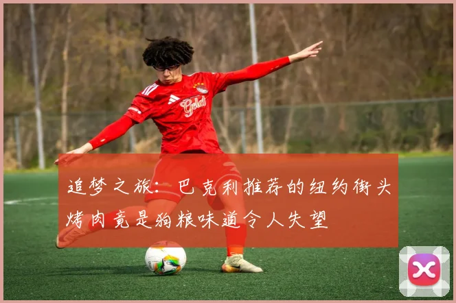 追梦之旅：巴克利推荐的纽约街头烤肉竟是狗粮味道令人失望